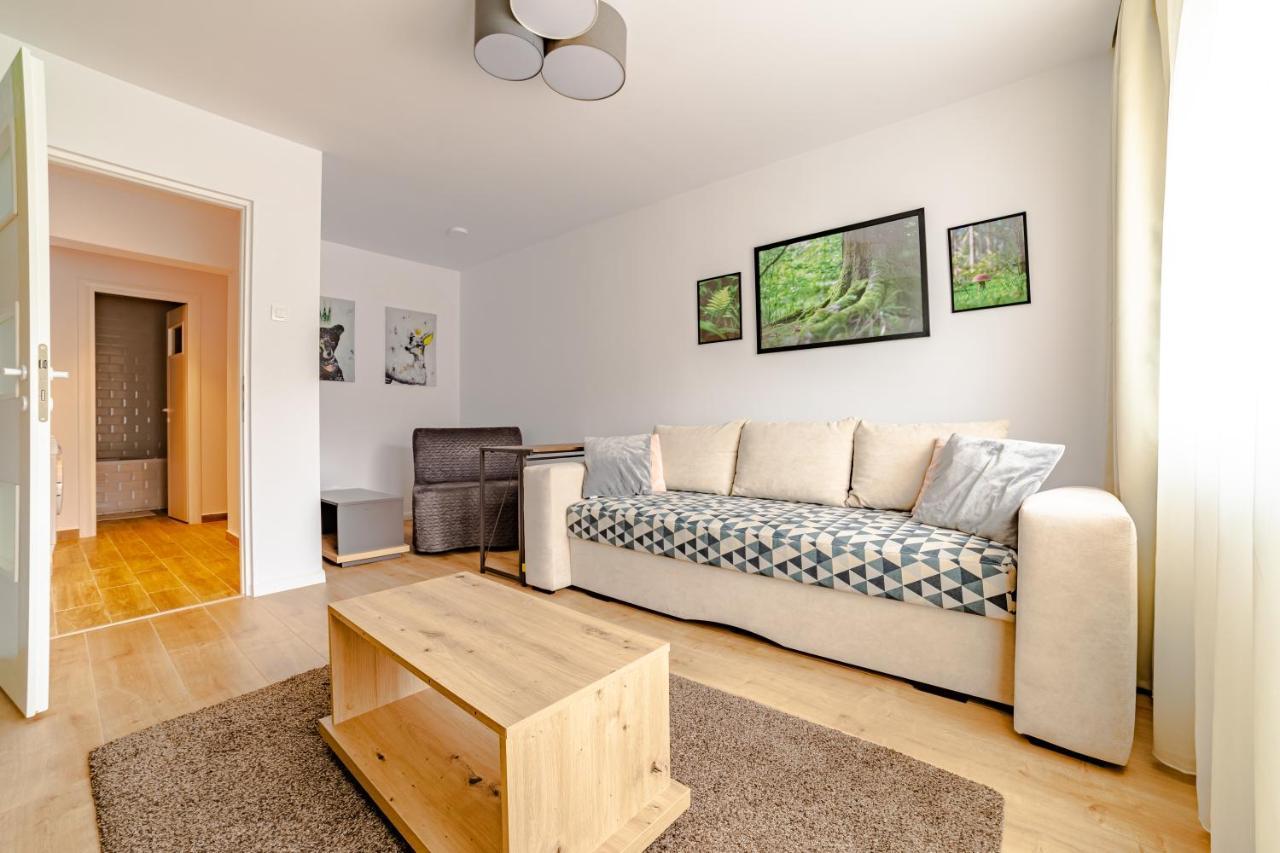 Mid-Term Rental Racadau Apartment บราชอฟ ภายนอก รูปภาพ